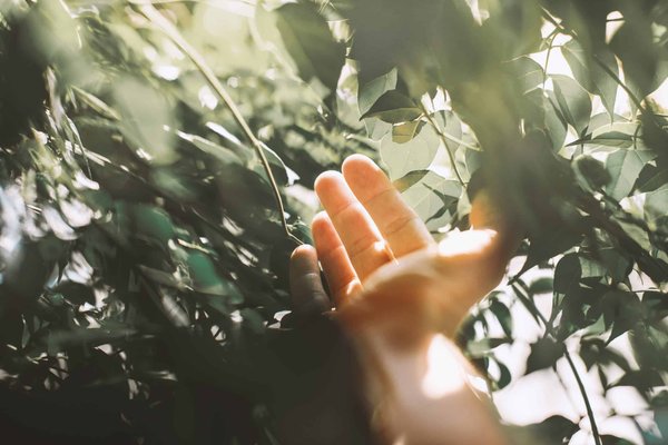 Wie organisiert man einen Retro-Videospielabend, um die Kindheitserinnerungen wieder aufleben zu lassen?